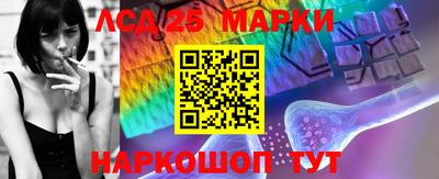 прущие крисы Камышлов
