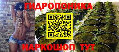 прущие крисы Камышлов