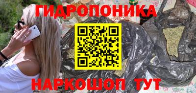 прущие крисы Камышлов