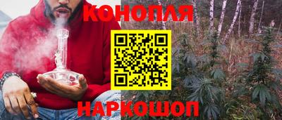 прущие крисы Камышлов