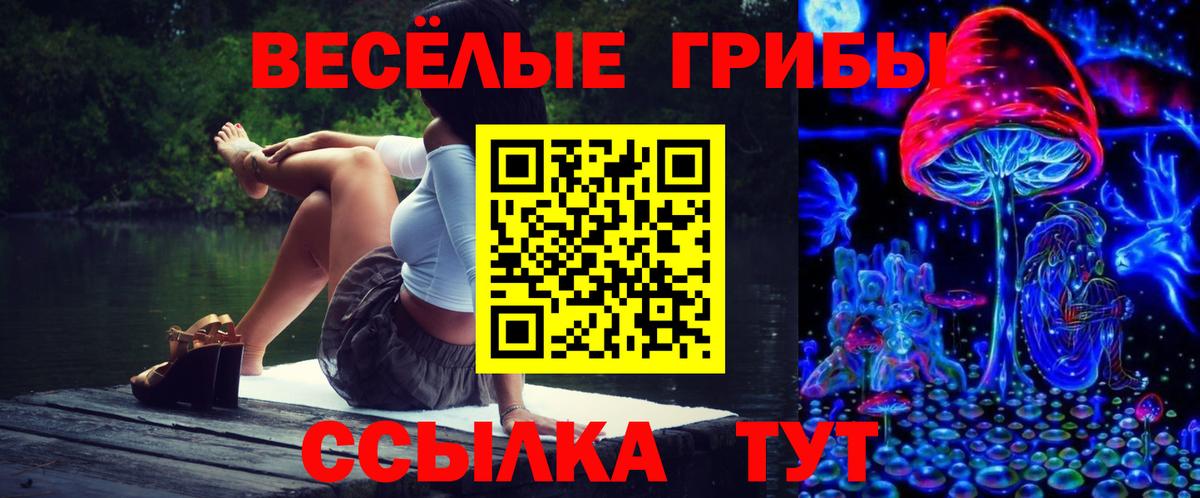 Псилоцибиновые грибы мицелий Красноярск