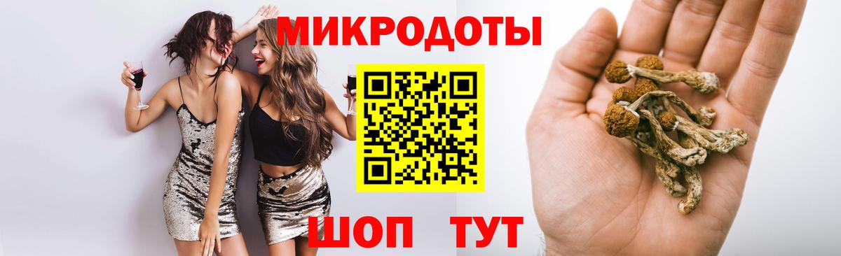 Красноярск  Галлюциногенные грибы Psilocybe  где купить наркотик  Вход с VPN 